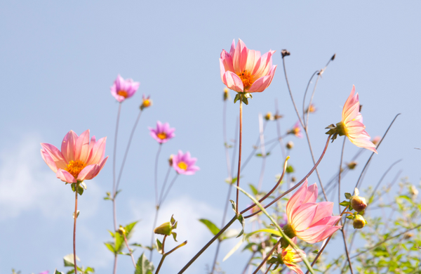 9月の講座日程とご予約状況について