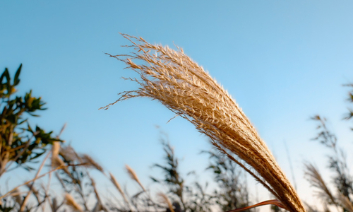 10月の講座日程とお知らせ