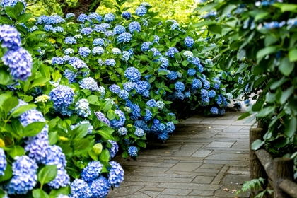 6月の講座予定とご予約状況について