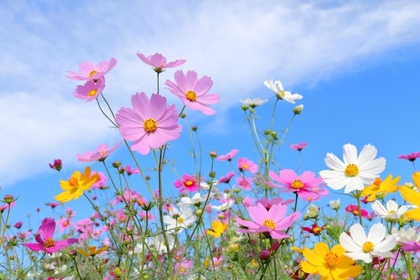 10月の片づけポイントとご予約状況について