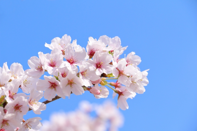 【4月のお知らせ】 「サンキューキャンペーン」まもなく終了！＆講座のお知らせ