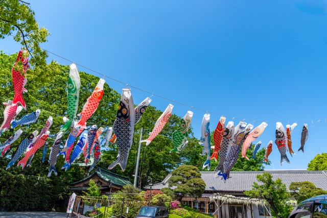 【お知らせ】5月のサポート受付状況と「家庭科の授業体験シェア会」開催のご案内