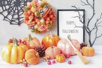 「なぜ、また増えた…？」ハロウィン飾りをラクに片づける3つのルール