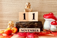 【11月のお知らせ】＆11月に意識したい！年末に差がつく「季節の片づけ小ネタ」3選