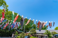 【お知らせ】5月のサポート受付状況と「家庭科の授業体験シェア会」開催のご案内